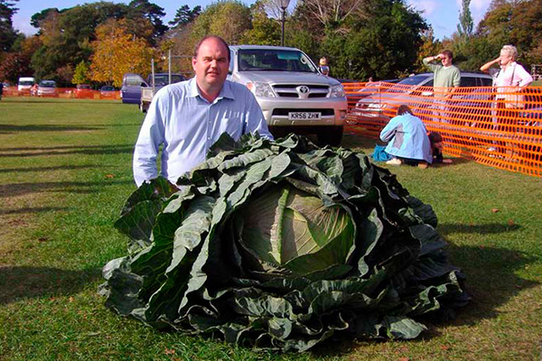 Légumes gigantesques